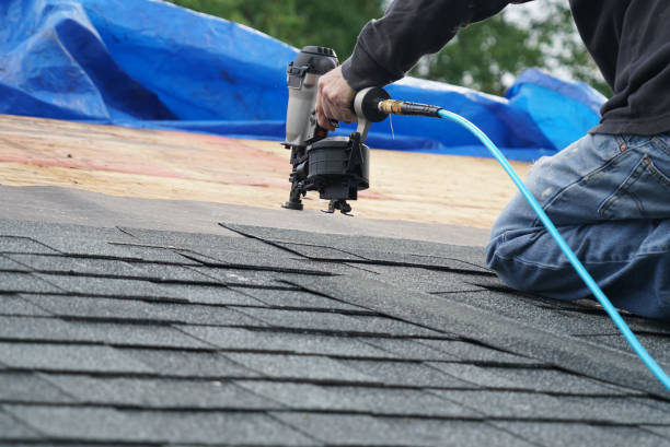 Best Gutter Installation and Roofing  in Fosston, MN