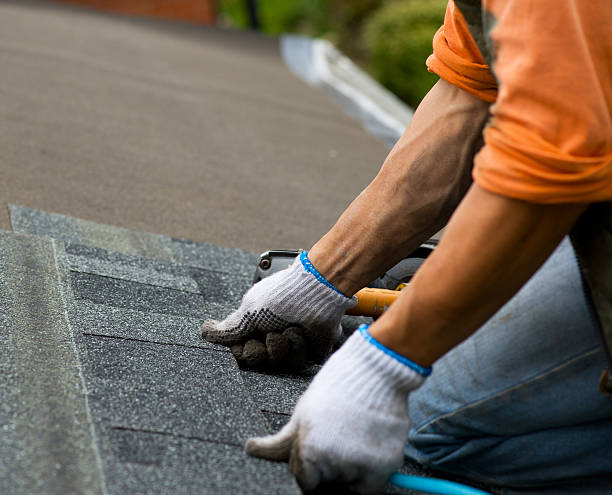 Best Local Roofing Companies  in Fosston, MN