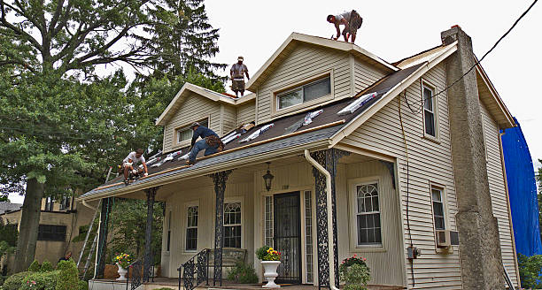 Best Roof Repair Services  in Fosston, MN